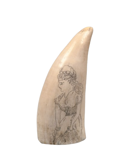 Antique American Scrimshaw Tooth with Victorian Lady