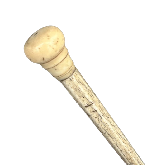 Antique Scrimshaw Whalebone Walking Stick