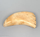 Large Antique Scrimshaw Tooth with U.S. Frigate