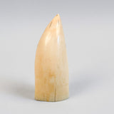 Outstanding Antique Scrimshaw Tooth with Lady