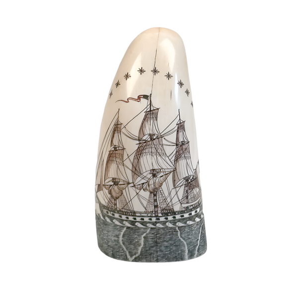 Vintage Scrimshaw Tooth by Robert Spring