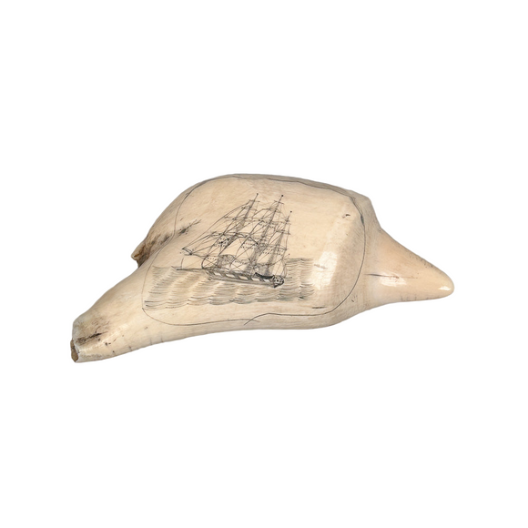 Antique Scrimshaw Whaleship on Irregular Tooth