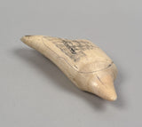 Antique Scrimshaw Whaleship on Irregular Tooth