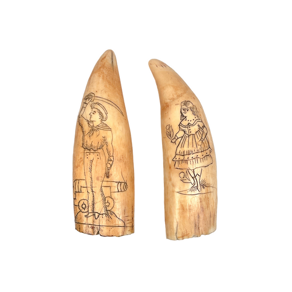 Pair of Antique Antique Scrimshaw Teeth by G.W. Stevens