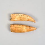Pair of Antique Antique Scrimshaw Teeth by G.W. Stevens