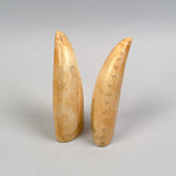 Antique Pair of Sperm Whale Teeth Gentleman & Whaleship