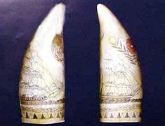 Antique American scrimshaw sperm whale's tooth
