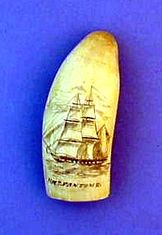 Antique scrimshaw sperm whale's tooth HMS Fantome