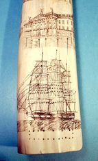 Rare Antique American Scrimshaw Walrus Tusk