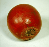 Antique American ceramic APPLE bank