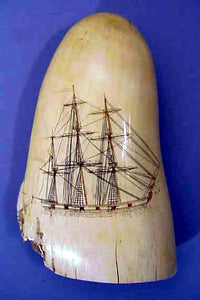 Antique American engraved tooth with large ship