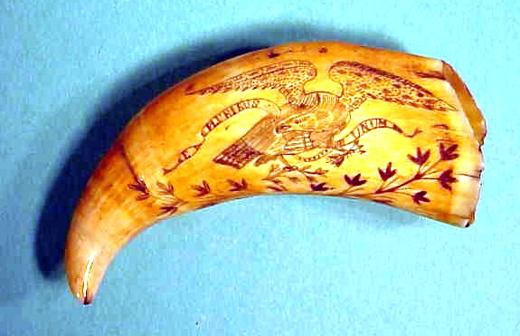 Antique American scrimshaw tooth with large Eagle