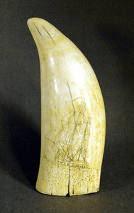 Antique American scrimshaw tooth with lookout