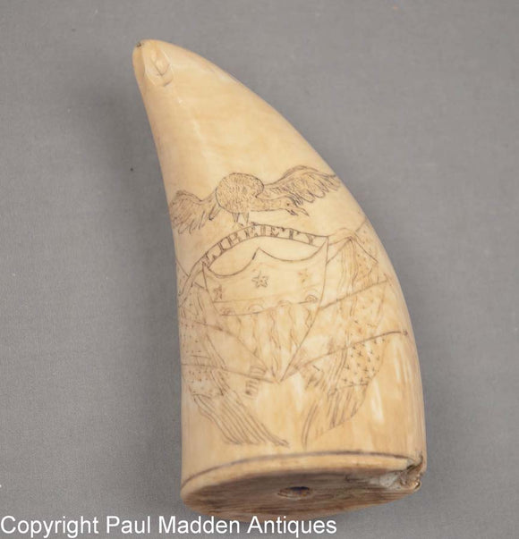 Antique American scrimshaw tooth with patriotic eagle