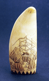 Antique American scrimshaw tooth with patriotic Eagle emblem