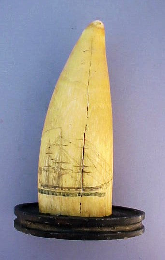 Antique American scrimshaw tooth with ship