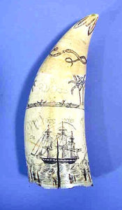 Antique American scrimshaw tooth with South Pacific panorama