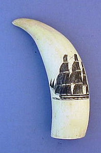 Antique scrimshaw sperm whale's tooth WHALING