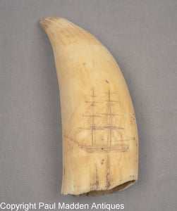 Antique scrimshaw sperm whale's tooth with ship