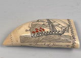 Antique Scrimshaw Sperm Whale Tooth - Daniel of London by the Brittania Engraver