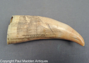 Antique Scrimshaw Sperm Whale Tooth with British Revenue Cutters