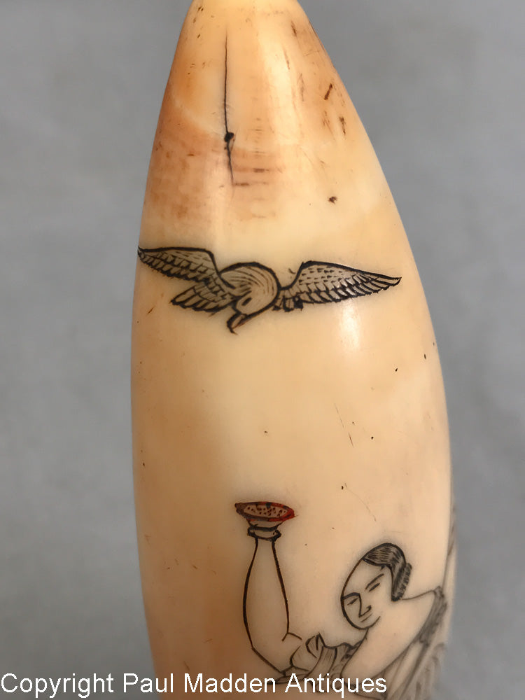 Antique Scrimshaw Sperm Whale Tooth with Lady Liberty – Paul