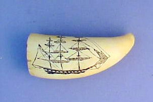 Antique scrimshaw spermwhale's tooth with ship