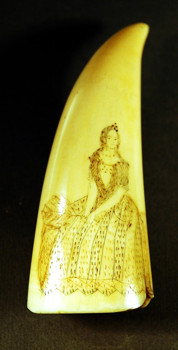 Antique scrimshaw tooth 