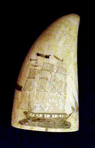 Antique scrimshaw tooth with double ships