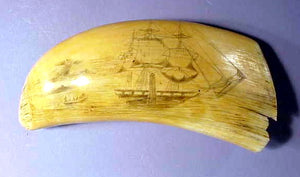 Antique scrimshaw tooth with double whaling scene.