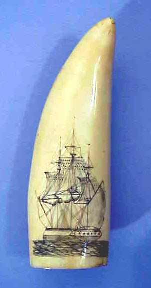 Antique scrimshaw tooth with ship