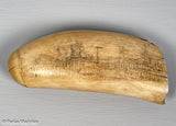 Antique Scrimshaw Tooth with Ships at Port