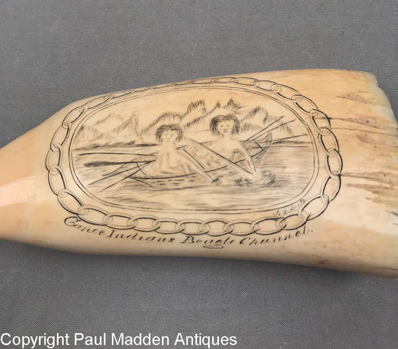 Antique Sperm Whale Tooth by J.A. Bute - HMS Beagle