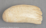 Antique Sperm Whale Tooth with Scrimshaw Memorial