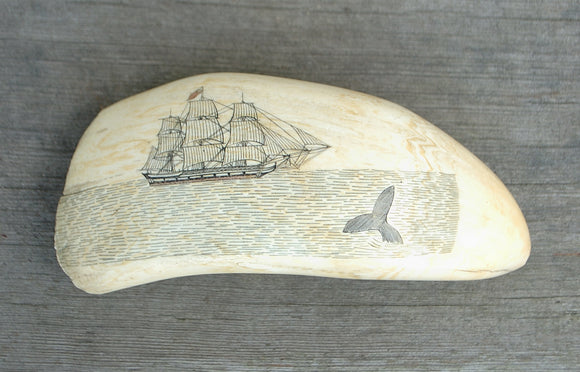 Antique Sperm Whale Tooth with Whaleship, Whale, and Monument