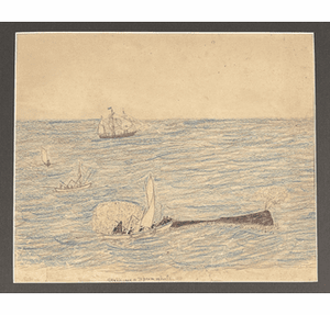 Antique Whaler's Drawing "Striking a Sperm Whale" by Amos C. Baker Jr.