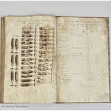 Antique Whaling Logbook - Bark Marcella of New Bedford 1844-1845
