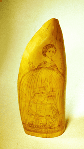Choice antique scrimshaw tooth HOMEWARD BOUND