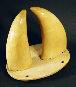 Choice pair antique sperm whale teeth on stand