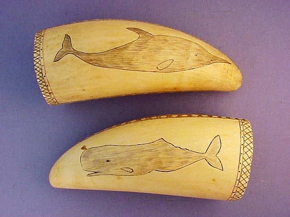 Choice pair of antique scrimshaw  teeth with sea life.