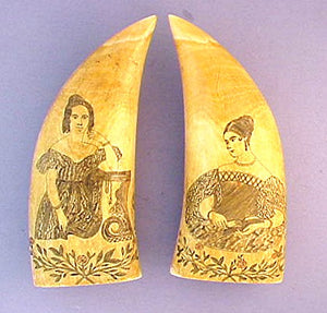 Great pair of antique American scrimshaw teeth