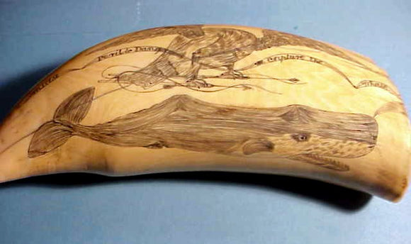 Great Whale tooth