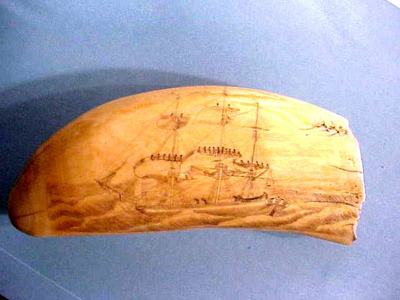 Men in rigging tooth