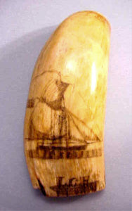 Mid 19th C. antique tooth with Hudson River Sloop