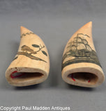 Pair Antique Polychrome Scrimshaw Teeth