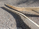 Pair of Antique Sperm Whale Jawbones