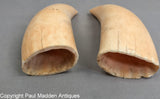 Pair of Antique Sperm Whale Teeth with British Ships