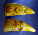 Pair of choice antique scrimshaw sperm whale's teeth