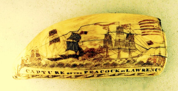 Rare antique American engraved tooth LAWRENCE