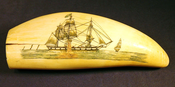 Rare antique scrimshaw tooth NAVAL ENGAGEMENT
